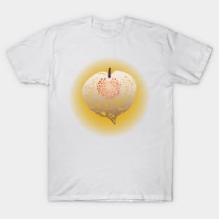 Large Glowing Chinese Lantern T-Shirt